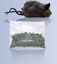 Buy Catnip - One Ounce With Toy