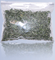 Buy Catnip - One Ounce Buy Catnip - One Ounce